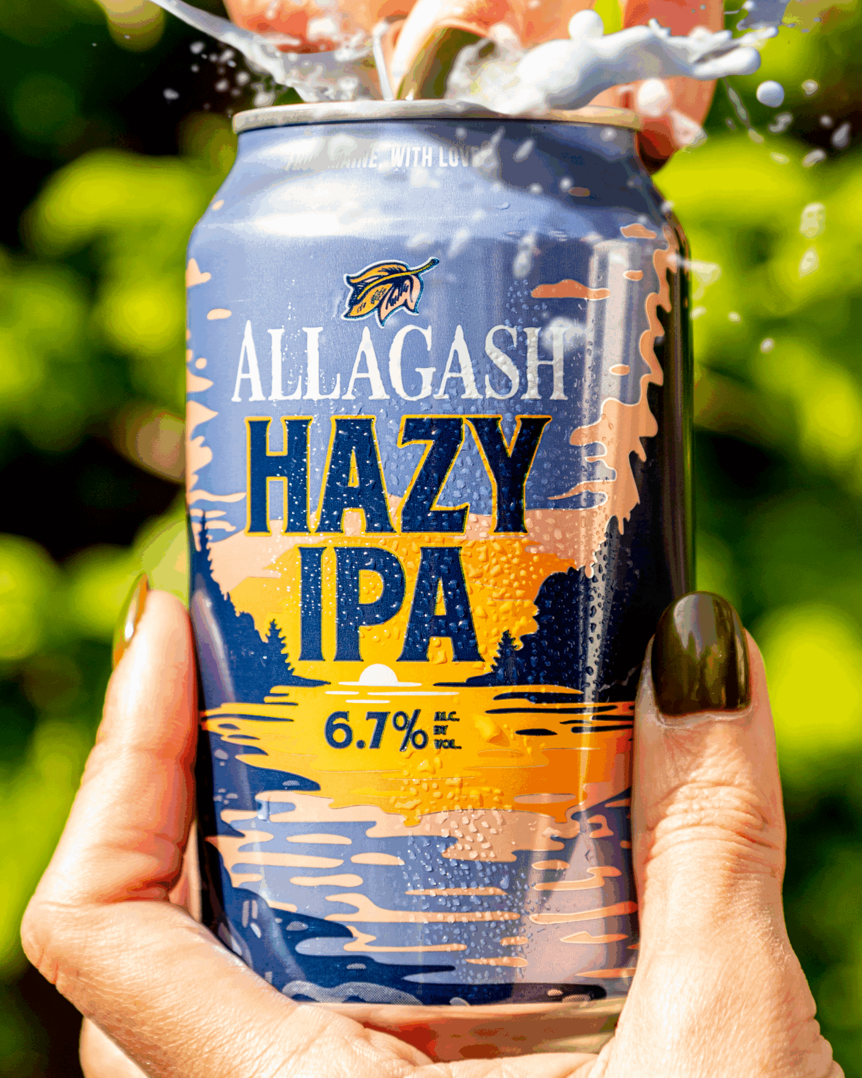 Allagash Brewing Company Hazy IPA